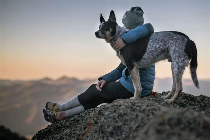 愛犬が足の上に座る理由とは？愛情と不安のサインを見極めて